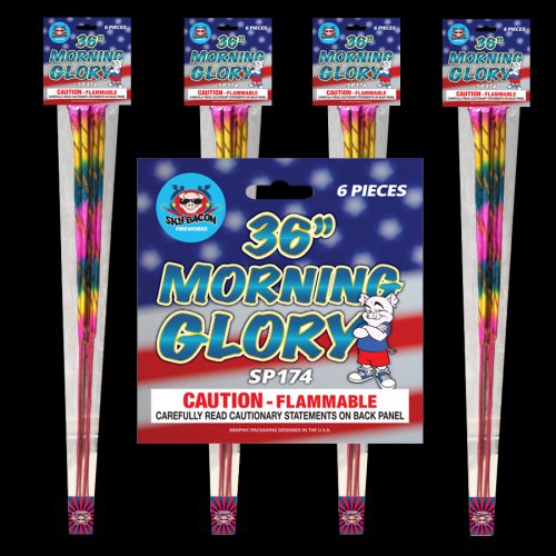 36"" JUMBO MORNING GLORY