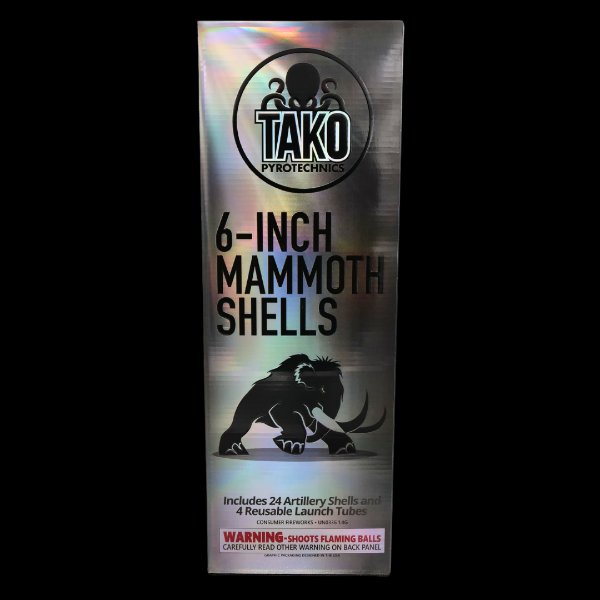 6in Mammoth Shells